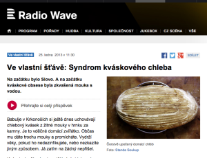Radio Wave 25. 1. 2013 http://www.rozhlas.cz/radiowave/vevlastnistave/_zprava/ve-vlastni-stave-syndrom-kvaskoveho-chleba--1166615 