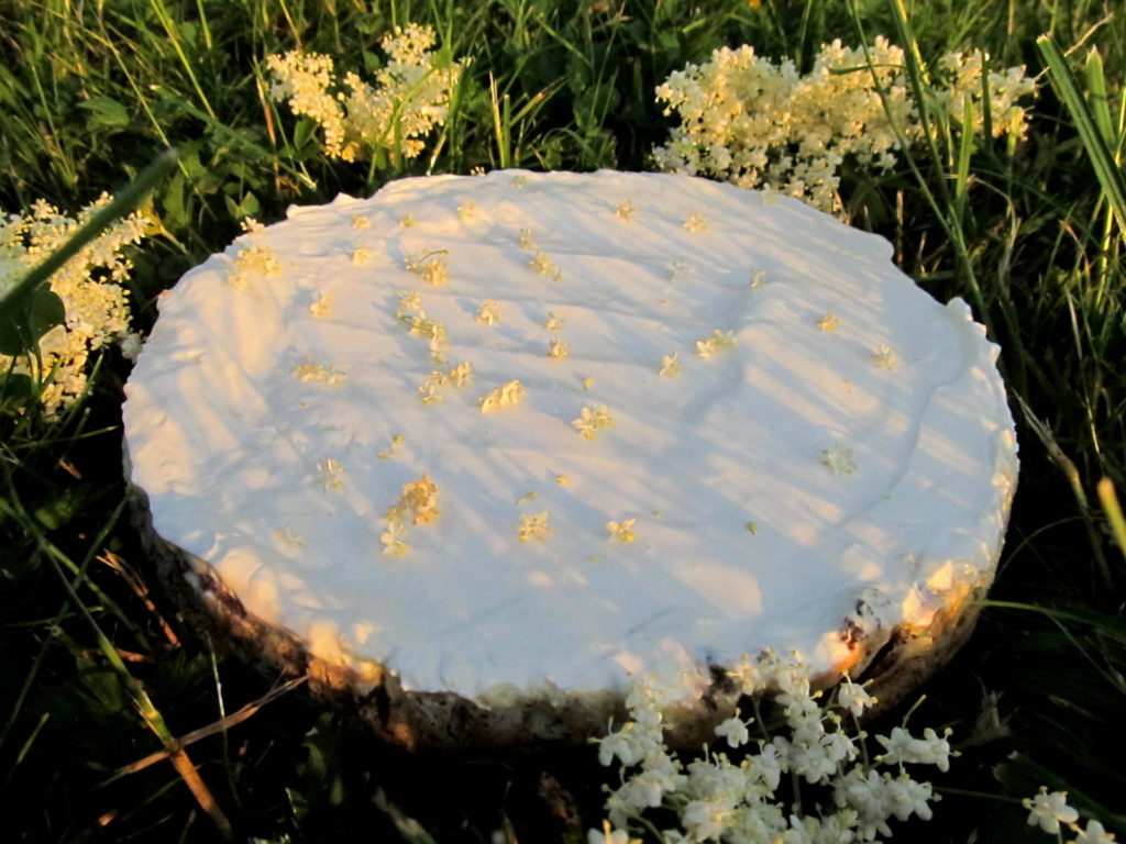 Bezinkový cheesecake