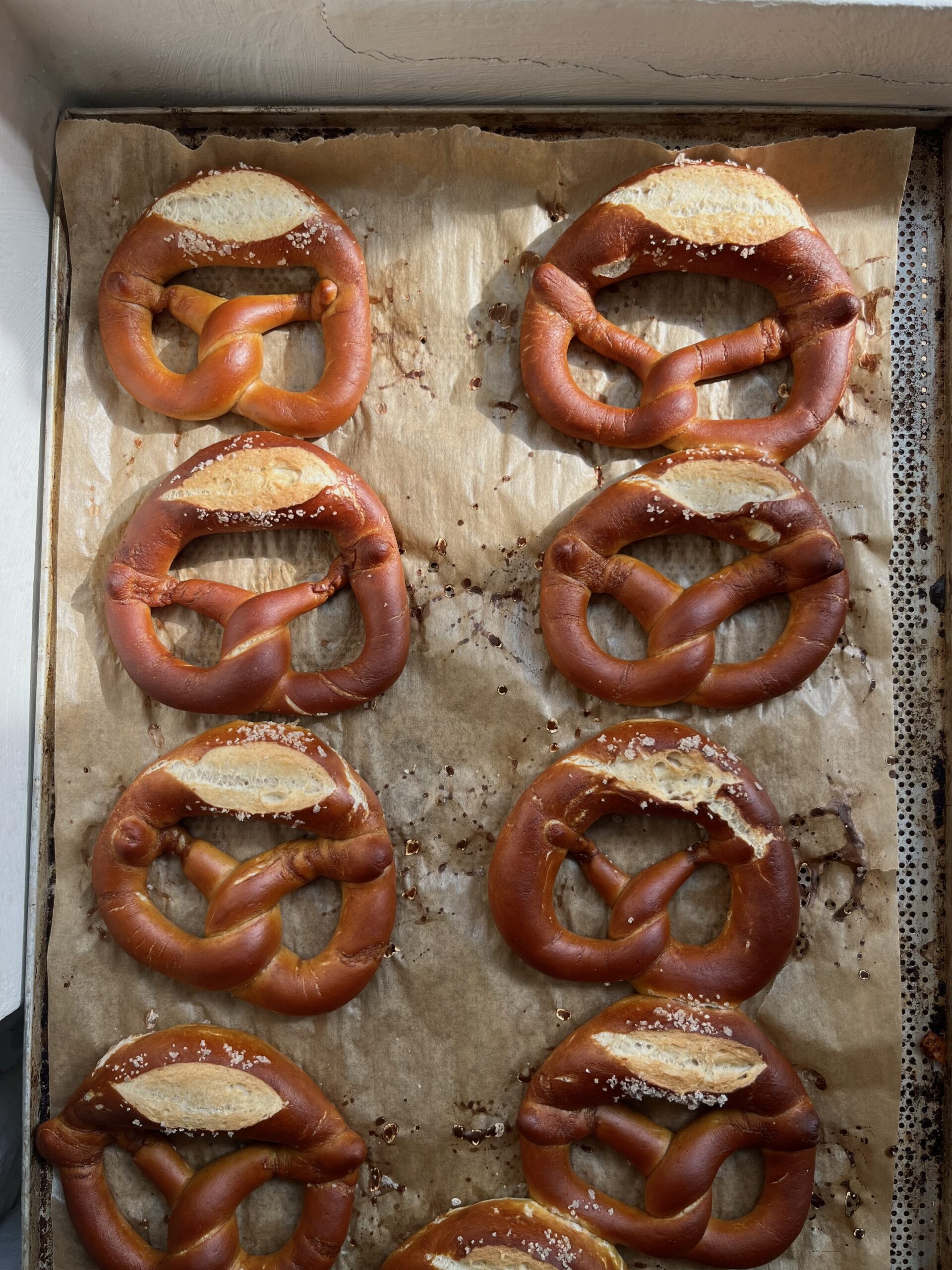 12. 2. 2026 - Kurz Pokoř rohlík - Obrázek 2