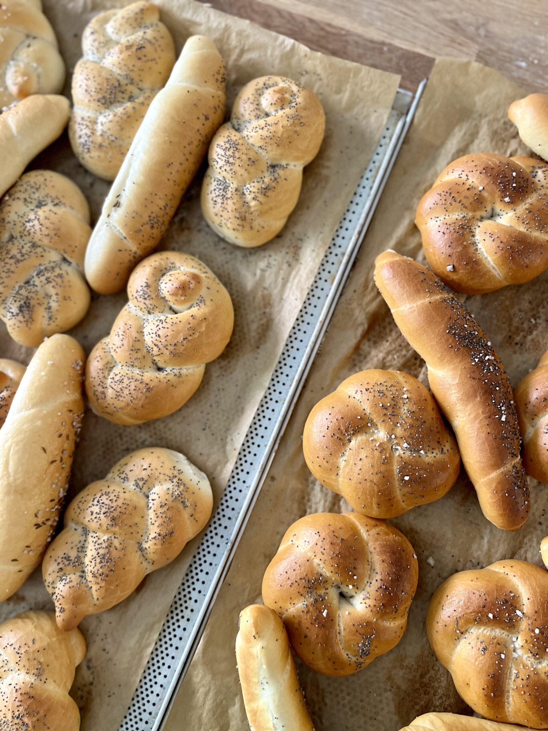 12. 2. 2026 - Kurz Pokoř rohlík