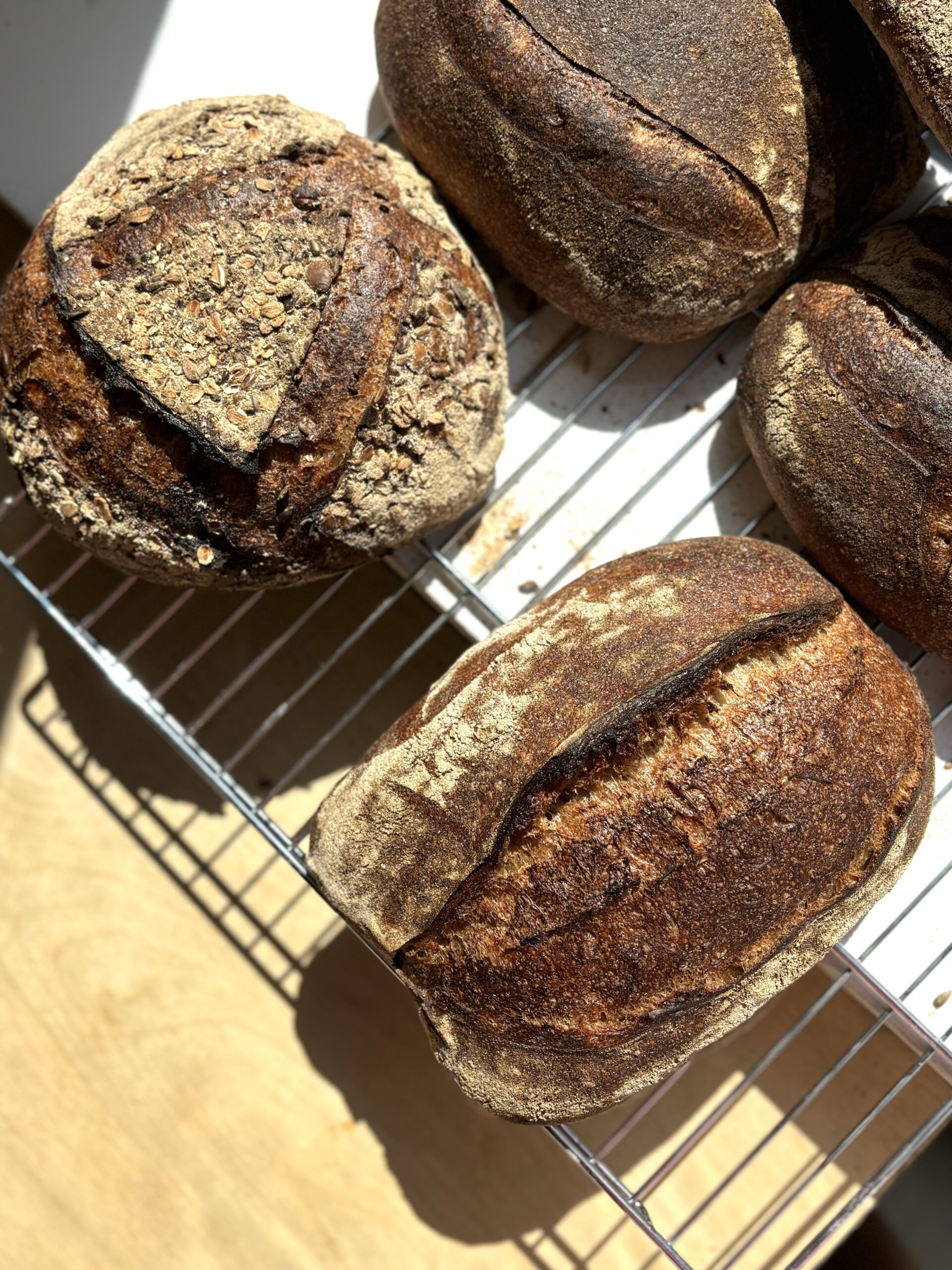 26.- 27. 1. 2026 - Dvoudenní kurz celozrnný chléb z kvasu