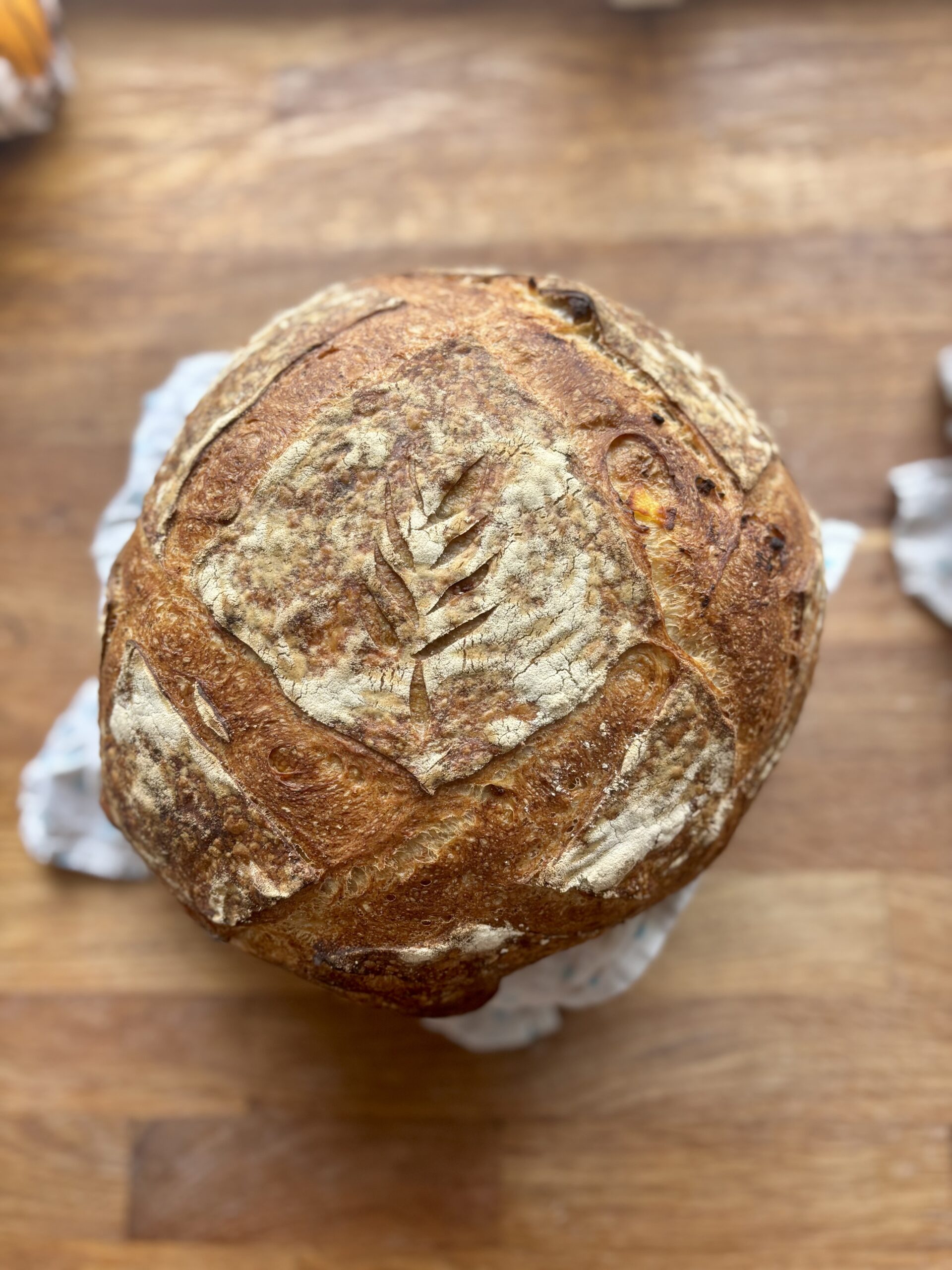 11. 12. 2025 - Jednodenní kurz základy pečení chleba a vánočky